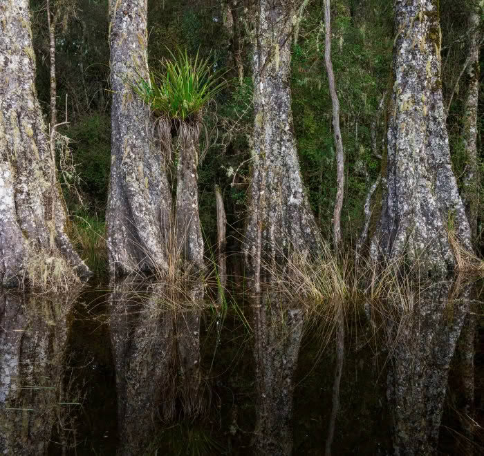 Lagoon, Bay of Plenty, New Zealand