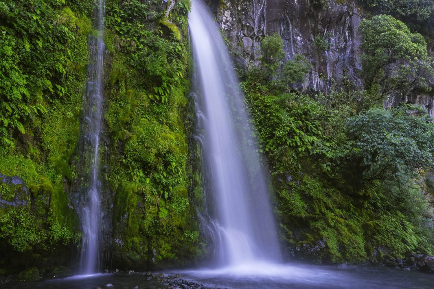 Dawson Falls, Mount Taranaki, New Zealand