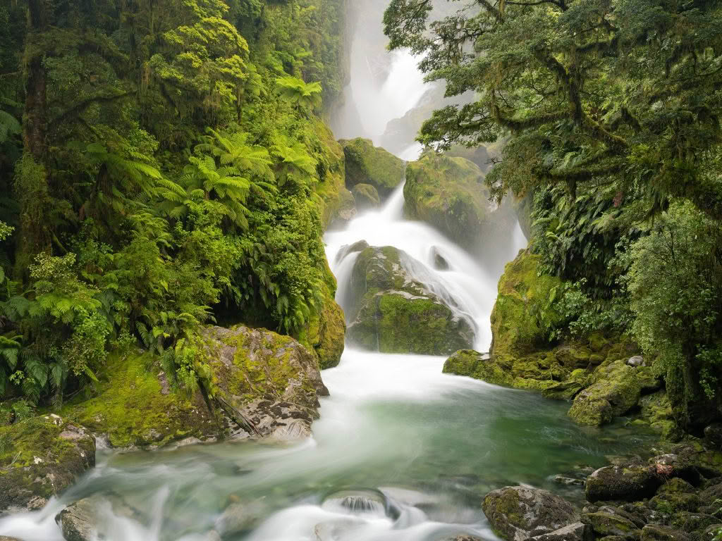 MacKay Falls, Milford Track, New Zealand