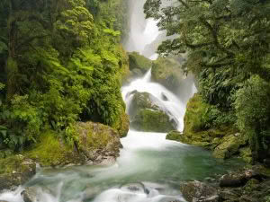 MacKay Falls, Milford Track, New Zealand