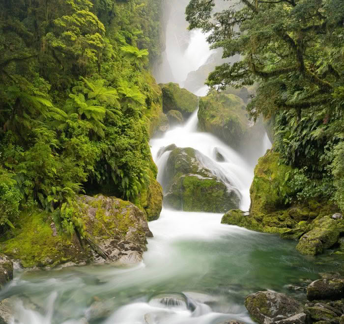 MacKay Falls, Milford Track, New Zealand