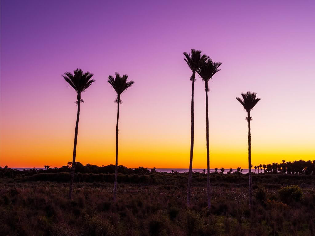 Best time to visit New Zealand for photography tours and workshops