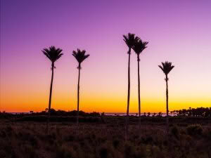 West Coast, South Island, New Zealand