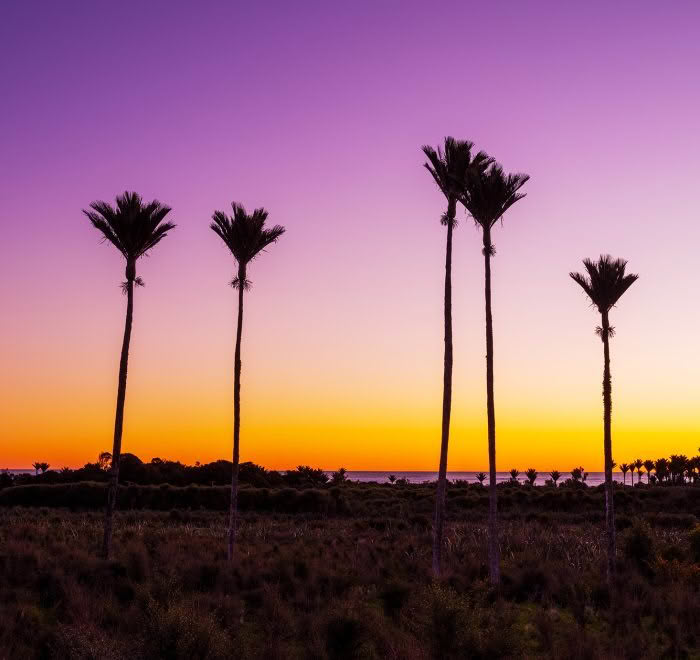 West Coast, South Island, New Zealand