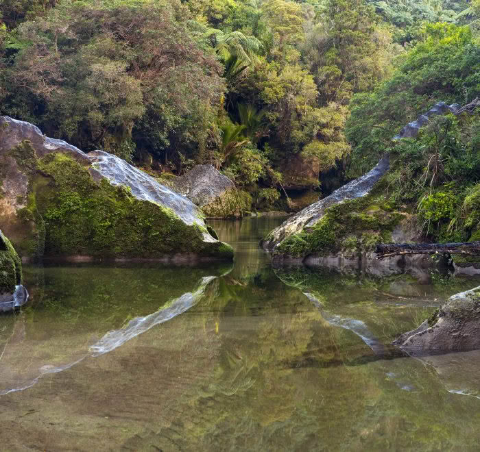 Pororari River, West Coast, New Zealand