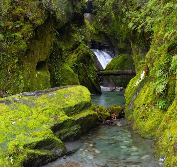 Robinson Creek, Haast Pass, New Zealand