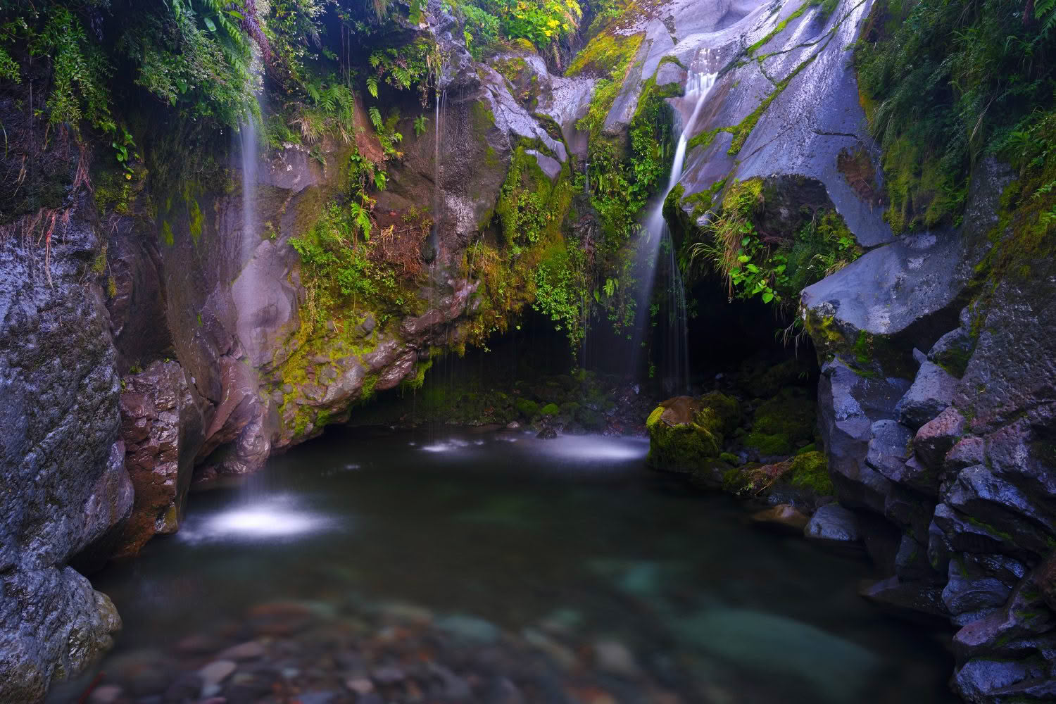Rock Pool, Taranaki, New Zealand