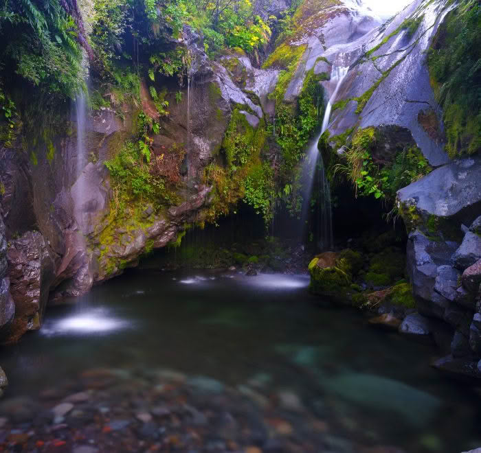 Rock Pool, Taranaki, New Zealand