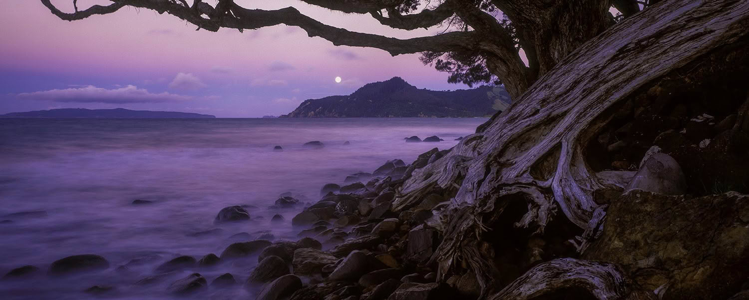Kuaotunu Beach on the Coromandel Peninsula with stunning dawn light
