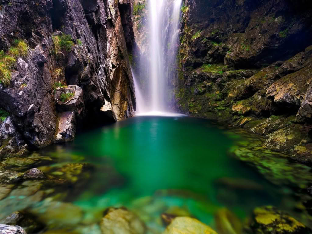 Base of Routeburn Falls, with water cascading through the center of a rocky outcropping into a lush pool