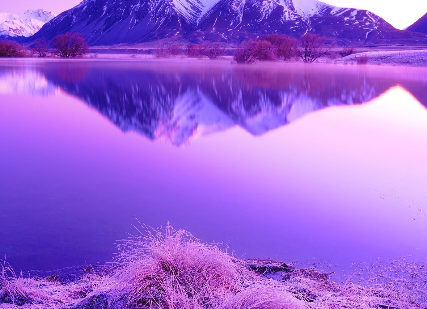 Southern Alps at dawn reflecting in pond in winter. New Zealand photo tours